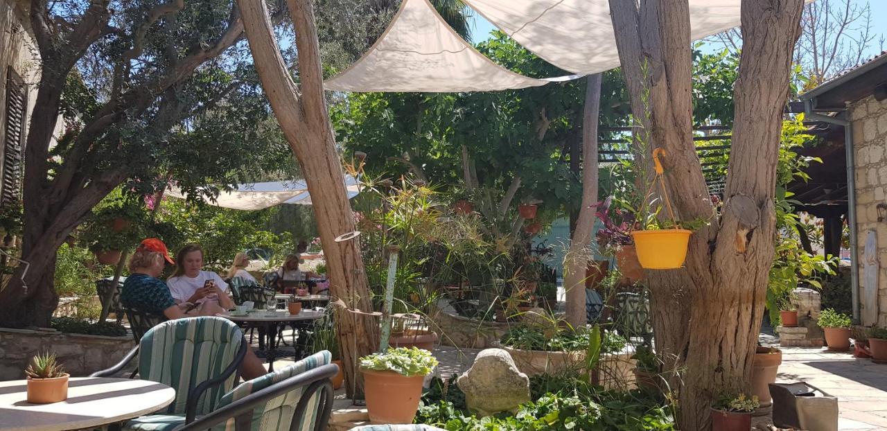 The Summer Haven Polis المظهر الخارجي الصورة