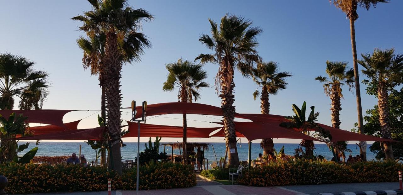 The Summer Haven Polis المظهر الخارجي الصورة